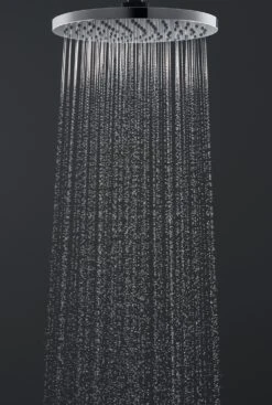 Hansgrohe -Hansgrohe hansgrohe vernis blend dusche kopfbrause 1 4881206