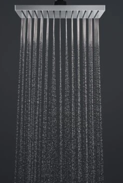 Hansgrohe -Hansgrohe hansgrohe vernis shape dusche kopfbrause 1 4883081